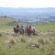 Continúa el Mes del Turismo a Caballo en Córdoba Continúa el Mes del Turismo a Caballo en Córdoba
